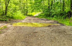 0 Buffalo Road, Oneida, TN 37841