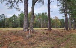 NE CR 363 lot: 4 - Tbd, Winona, TX 75792