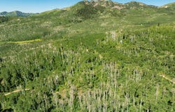 1665 W Marmot Lane lot: 17, Midway, UT 84049