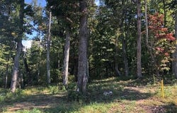 418 Brow Wood Lane, Lookout Mountain, GA 30750