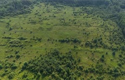 Tbd County Road 14, Littlefork, MN 56653