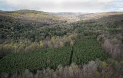 WP-001 0 West Creek Rd, Richford, NY 13835