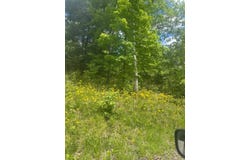 1750 CC Harris Rd., Lewisburg, KY 42256