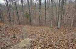 L4 B2 Bald Eagle Trail, Ozark Acres, AR 72482
