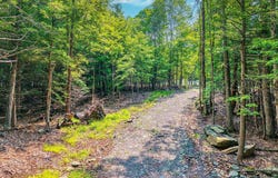 Tbd Boulder Brook  Lot 33-38 Road, Windham, NY 12496