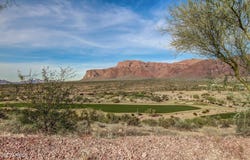 6590 E FLAT IRON Loop, Gold Canyon, AZ 85118