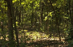 1505 Blackbird  LN, Horseshoe Bend, AR 72512