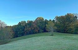 Sprowles Ridge Road, Campbellsville, KY 42718