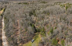 2480 County Road 317, Other, MO 65773