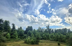 Tract 1 Grassy Knob Road, Robbins, TN 37852
