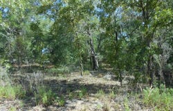 5225 E Prentice Lane, Inverness, FL 34452