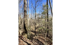County Road 39, Selma, AL 36701