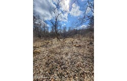 Machell Avenue, Dallas, PA 18612
