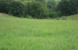 Rural Route, Chariton, IA 50049-8385