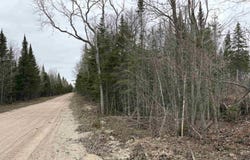 Cooper Rd, Gulliver, MI 49840