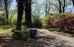 1616 6TH LOT D PL, MCLEAN, VA 22101