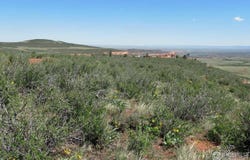 Livermore, CO 80536