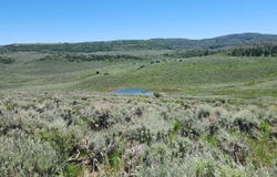 Tbd Divide Road, Gateway, CO 81522
