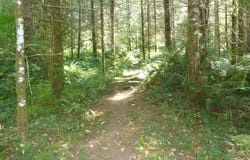 Thompson RD, Yacolt, WA 98675