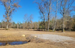 0 Academy Road, Walterboro, SC 29488