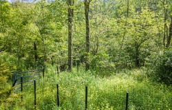 616 Enid Road, Summit, NY 12175
