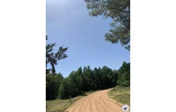 40 Acres PR 1187, Texarkana, AR 71854