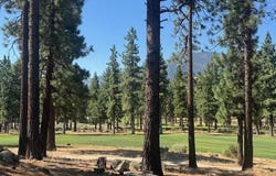 193 Redding Way unit: 257, Carson City, NV 89705