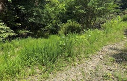 24 Copperhead Rd, Cana, NC 27317