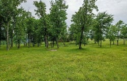 640 River Bluffs Drive, Jasper, TN 37347