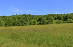 25.78 acres McDonald Ferry Road, Frankfort, KY 40601