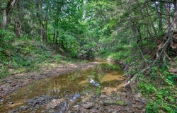 783 County Road 128, Gainesville, TX 76240
