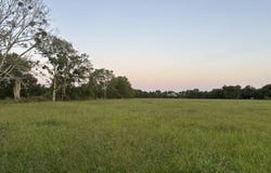 0 Old Van Vleck Rd Tract 1, Van Vleck, TX 77482