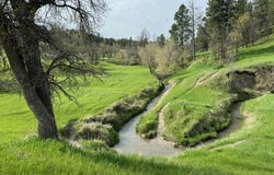 Tract 6 Lone Elk Ranch, Alva, WY 82711