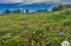 Lt6 Blk4 Lazy M Street, Red Lodge, MT 59068