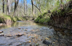 0 County Road 8, Rockford, AL 35136
