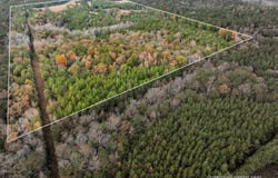 1565 Shubuta Eucutta Rd, Shubuta, MS 39360