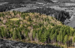 Wallace RD, Clatskanie, OR 97016