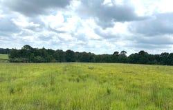 0003 woody Pace rd, Antlers, OK 74523