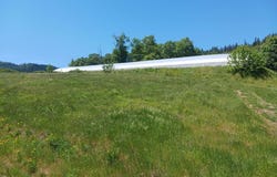 14855 E Evan's Creek Road Road, Rogue River, OR 97537