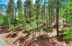 6319 Bent Oak Drive, Pinetop, AZ 85935