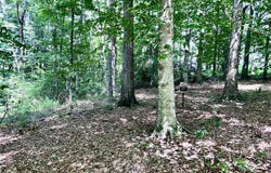 Lot 15 The Village at Laurelwood, Nancy, KY 42544