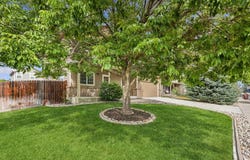 95 Pike Ln, Severance, CO 80550