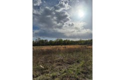 Piggott, AR 72454