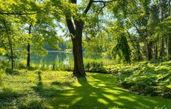 8050 Wilderness Trail NE, Ada, MI 49301