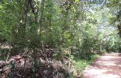 Tallavana Trail, Havana, FL 32333