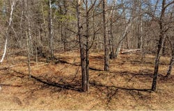 11 County Rd 11, Breezy Point, MN 56472