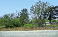 N Gaines Rd, Cedar Creek, TX 78602