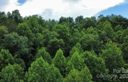 310 Walnut Grove Drive, Nebo, NC 28761