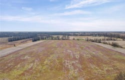 Iguana Road, Brookfield, MO 64628