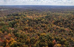 Askins Road, Fordsville, KY 42343